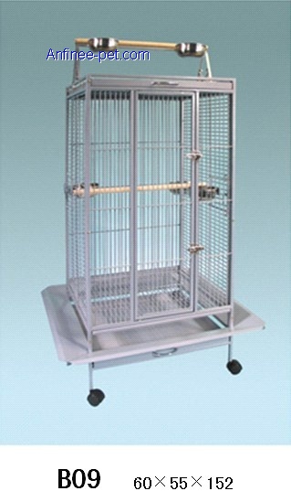 Parrot cage